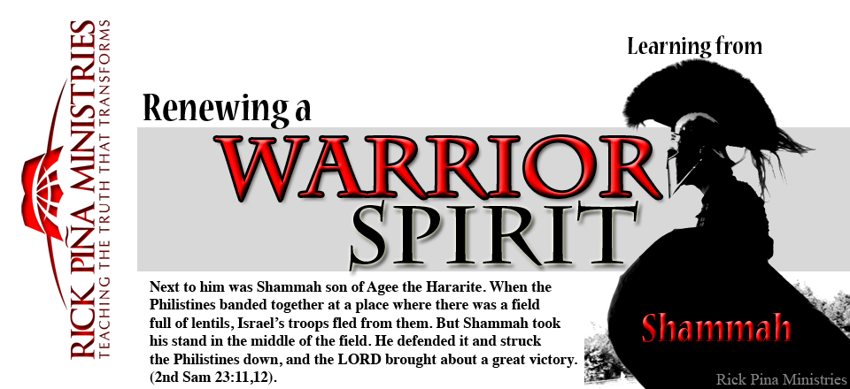 What Does Warrior Spirit Mean